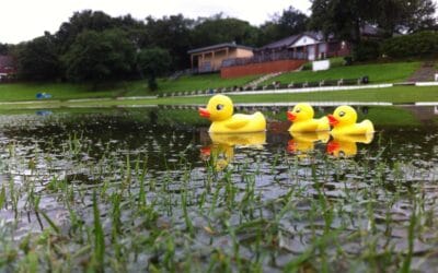 Junior cricket training cancelled